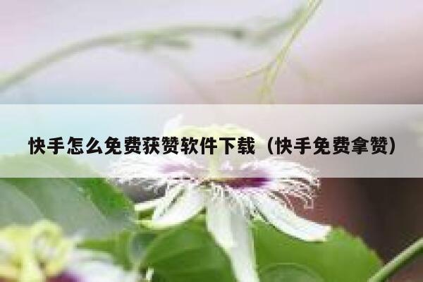快手怎么免费获赞软件下载（快手免费拿赞） 第1张