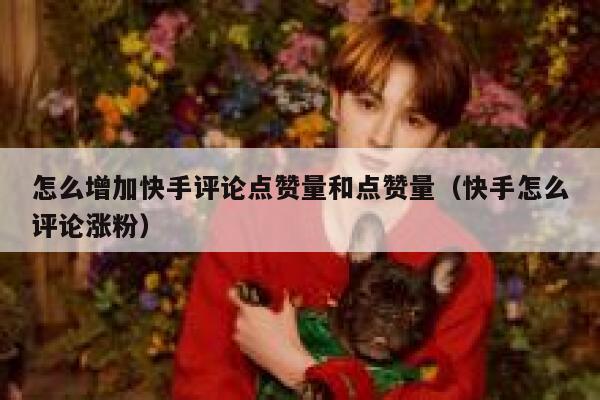 怎么增加快手评论点赞量和点赞量（快手怎么评论涨粉） 第1张