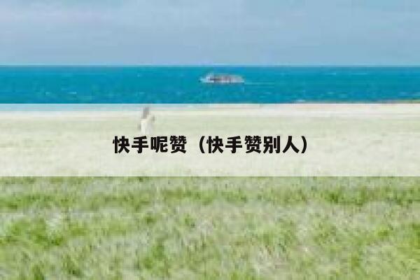 快手呢赞(快手赞别人) 第1张 快手呢赞(快手赞别人) 第1张