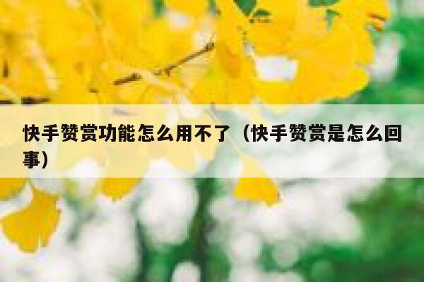 快手赞赏功能怎么用不了（快手赞赏是怎么回事） 第1张