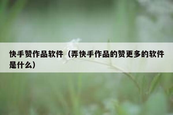 快手赞作品软件（弄快手作品的赞更多的软件是什么） 第1张