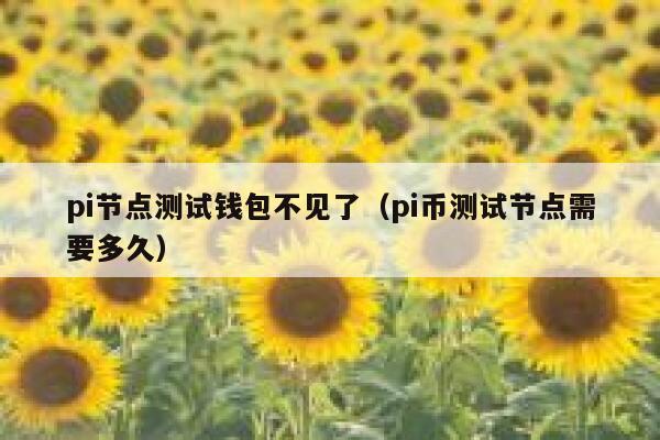 pi节点测试钱包不见了（pi币测试节点需要多久） 第1张