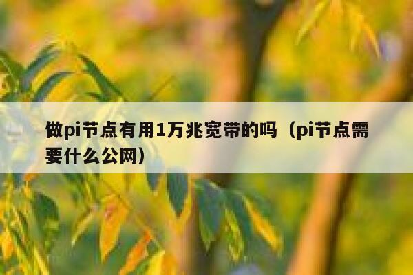 做pi节点有用1万兆宽带的吗(pi节点需要什么公网) 第1张 做pi节点有用1万兆宽带的吗(pi节点需要什么公网) 第1张