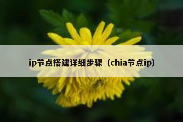ip节点搭建详细步骤（chia节点ip） 第1张