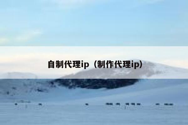 自制代理ip(制作代理ip) 第1张 自制代理ip(制作代理ip) 第1张