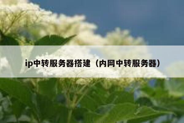 ip中转服务器搭建（内网中转服务器） 第1张