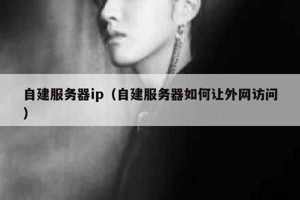 自建服务器ip（自建服务器如何让外网访问） 第1张