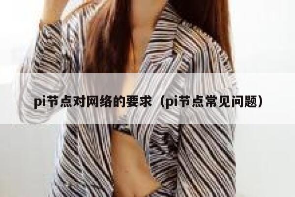 pi节点对网络的要求（pi节点常见问题） 第1张