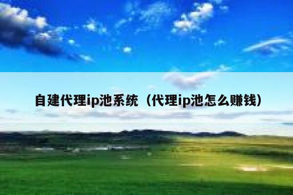 自建代理ip池系统（代理ip池怎么赚钱） 第1张