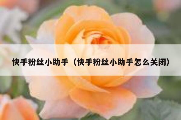 快手粉丝小助手（快手粉丝小助手怎么关闭） 第1张