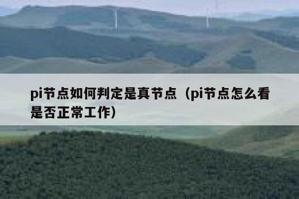 pi节点如何判定是真节点（pi节点怎么看是否正常工作） 第1张