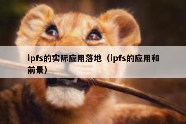 ipfs的实际应用落地(ipfs的应用和前景) 第1张 ipfs的实际应用落地(ipfs的应用和前景) 第1张