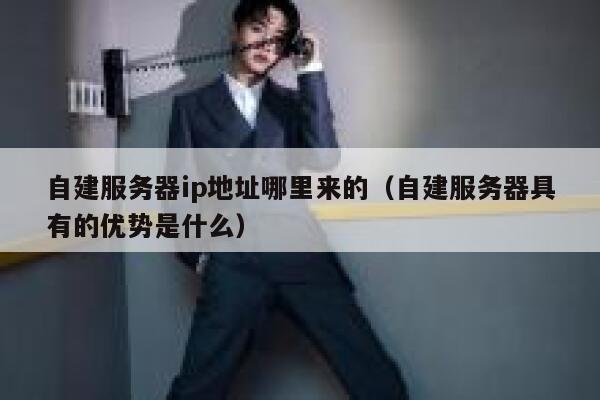自建服务器ip地址哪里来的（自建服务器具有的优势是什么） 第1张