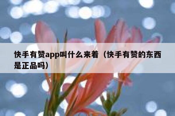 快手有赞app叫什么来着（快手有赞的东西是正品吗） 第1张