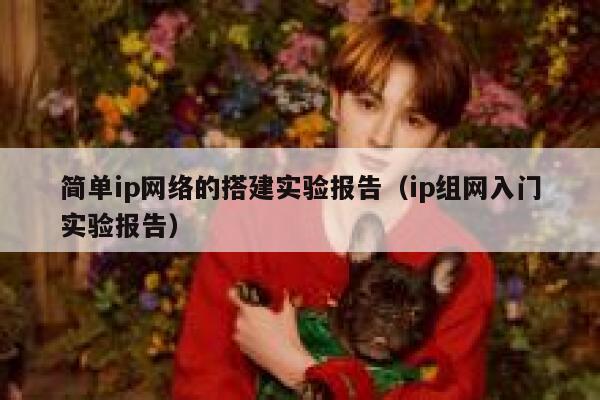 简单ip网络的搭建实验报告（ip组网入门实验报告） 第1张