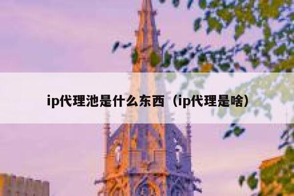 ip代理池是什么东西（ip代理是啥） 第1张
