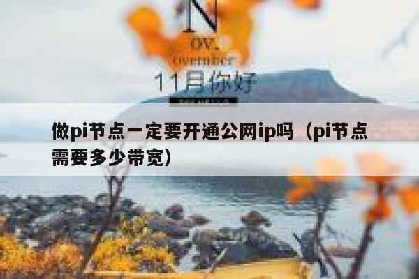 做pi节点一定要开通公网ip吗（pi节点需要多少带宽） 第1张