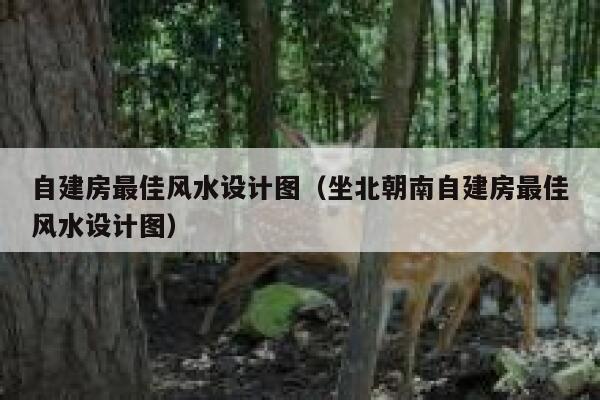 自建房最佳风水设计图(坐北朝南自建房最佳风水设计图) 第1张 自建房最佳风水设计图(坐北朝南自建房最佳风水设计图) 第1张