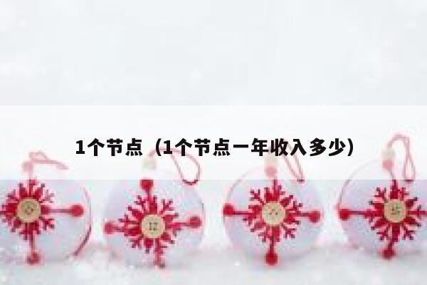 1个节点（1个节点一年收入多少） 第1张
