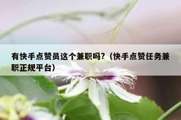 有快手点赞员这个兼职吗?（快手点赞任务兼职正规平台） 第1张