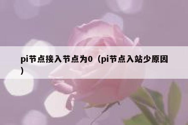 pi节点接入节点为0（pi节点入站少原因） 第1张