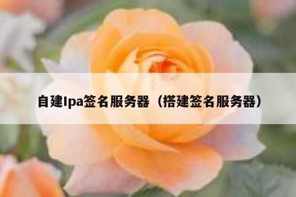 自建Ipa签名服务器（搭建签名服务器） 第1张