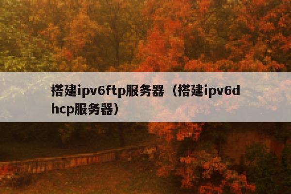 搭建ipv6ftp服务器（搭建ipv6dhcp服务器） 第1张