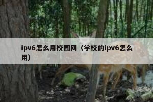 ipv6怎么用校园网（学校的ipv6怎么用） 第1张