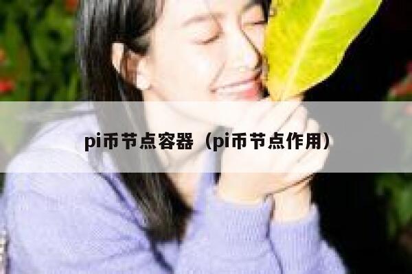 pi币节点容器（pi币节点作用） 第1张