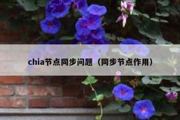 chia节点同步问题（同步节点作用） 第1张