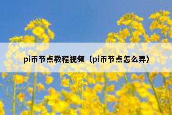 pi币节点教程视频（pi币节点怎么弄） 第1张