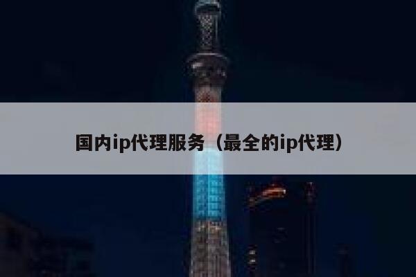 国内ip代理服务（最全的ip代理） 第1张