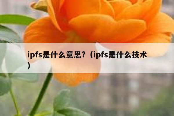 ipfs是什么意思?（ipfs是什么技术） 第1张