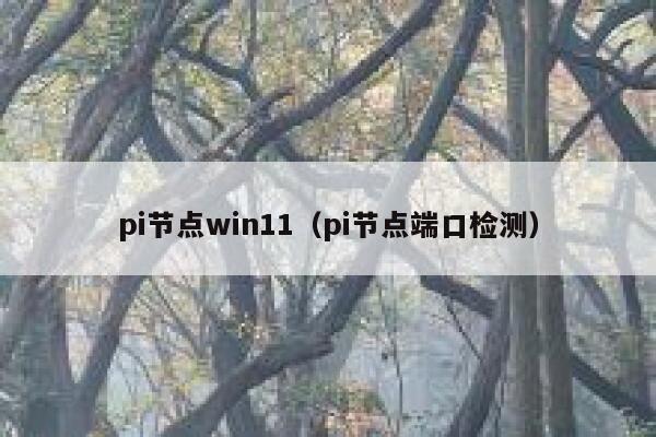 pi节点win11（pi节点端口检测） 第1张