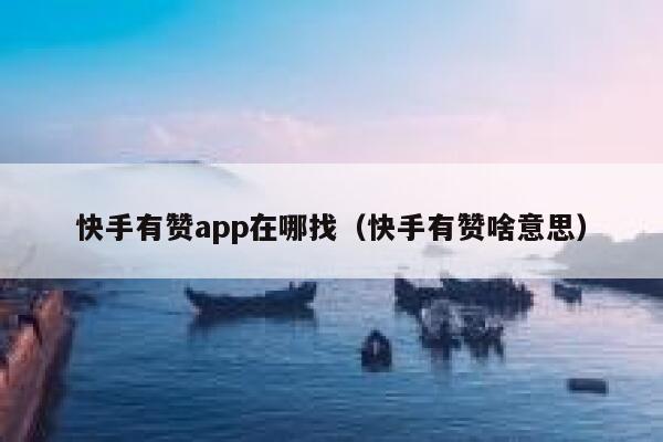 快手有赞app在哪找（快手有赞啥意思） 第1张