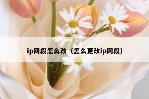 ip网段怎么改(怎么更改ip网段) 第1张 ip网段怎么改(怎么更改ip网段) 第1张