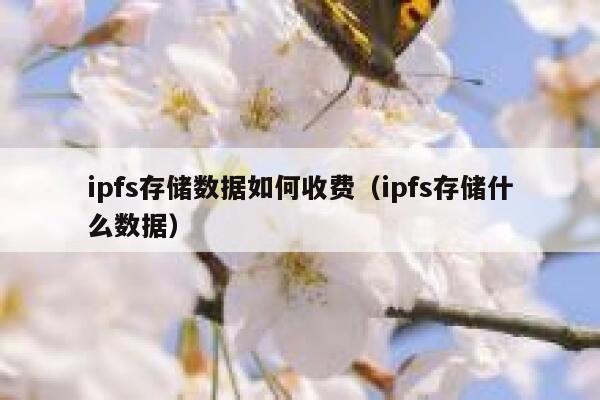 ipfs存储数据如何收费（ipfs存储什么数据） 第1张