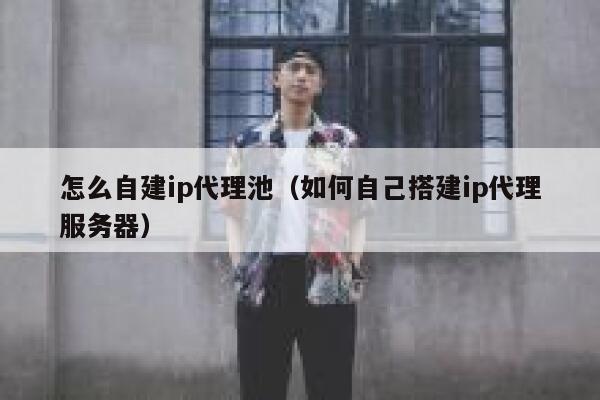 怎么自建ip代理池(如何自己搭建ip代理服务器) 第1张 怎么自建ip代理池(如何自己搭建ip代理服务器) 第1张