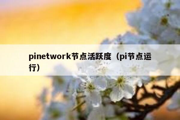 pinetwork节点活跃度(pi节点运行) 第1张 pinetwork节点活跃度(pi节点运行) 第1张