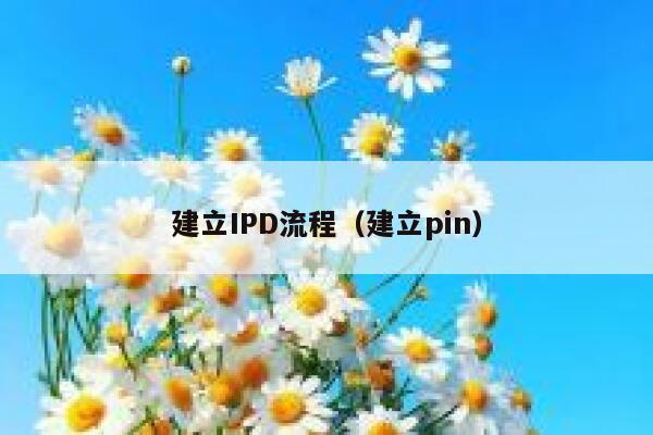 建立IPD流程(建立pin) 第1张 建立IPD流程(建立pin) 第1张