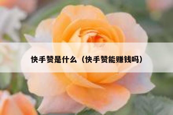 快手赞是什么（快手赞能赚钱吗） 第1张