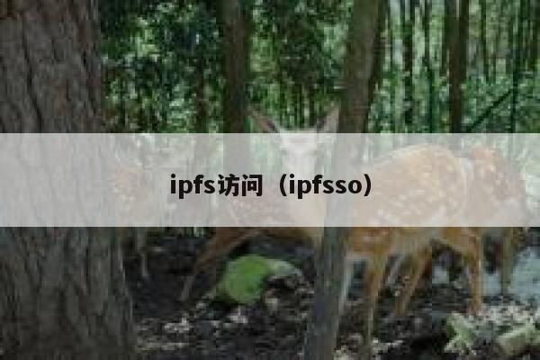 ipfs访问（ipfsso） 第1张