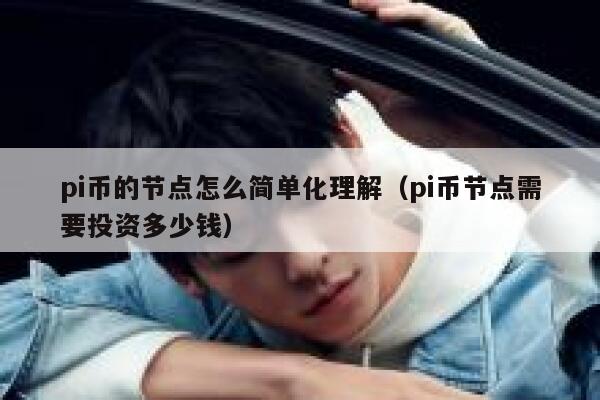 pi币的节点怎么简单化理解（pi币节点需要投资多少钱） 第1张