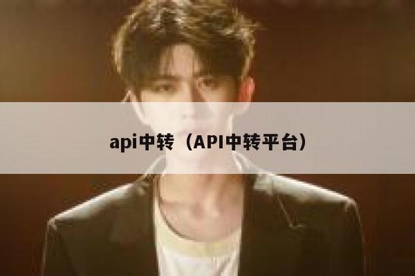 api中转（API中转平台） 第1张