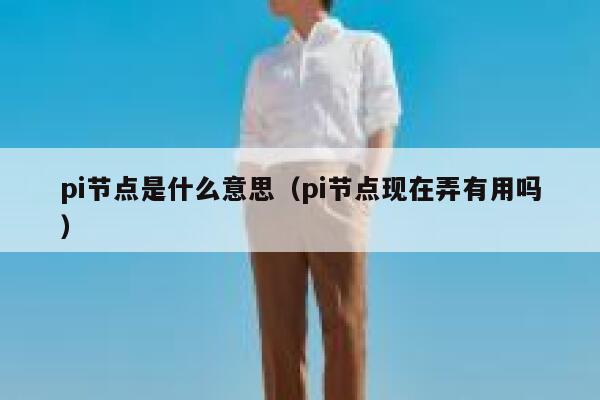 pi节点是什么意思(pi节点现在弄有用吗) 第1张 pi节点是什么意思(pi节点现在弄有用吗) 第1张