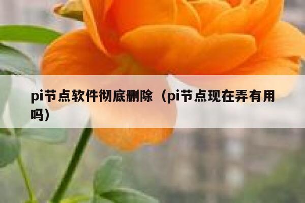 pi节点软件彻底删除(pi节点现在弄有用吗) 第1张 pi节点软件彻底删除(pi节点现在弄有用吗) 第1张