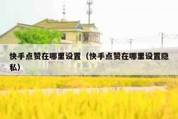 快手点赞在哪里设置(快手点赞在哪里设置隐私) 第1张 快手点赞在哪里设置(快手点赞在哪里设置隐私) 第1张