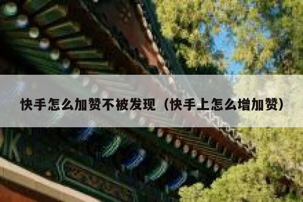 快手怎么加赞不被发现（快手上怎么增加赞） 第1张