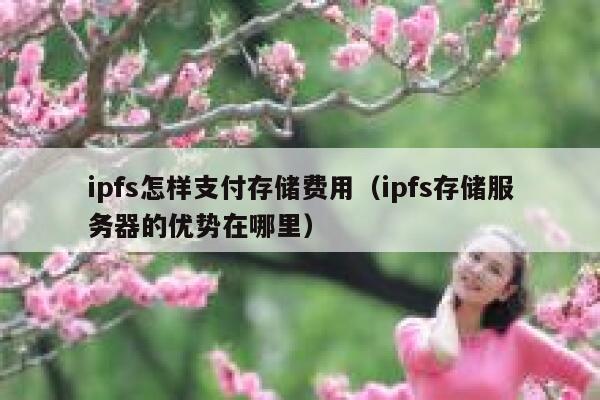 ipfs怎样支付存储费用（ipfs存储服务器的优势在哪里） 第1张