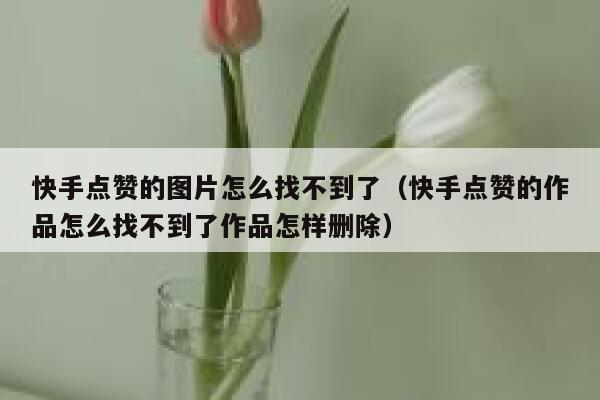 快手点赞的图片怎么找不到了（快手点赞的作品怎么找不到了作品怎样删除） 第1张